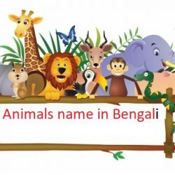 animals name in bengali